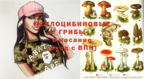 гашик Ессентукская