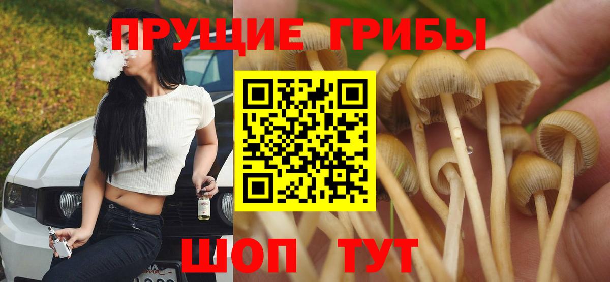 Майский  Галлюциногенные грибы MAGIC MUSHROOMS  Галлюциногенные грибы Psilocybe  Вход с VPN 