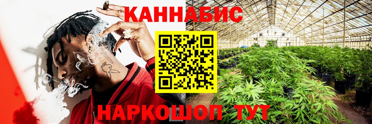 Бошки Шишки THC 21%  Шишки марихуана MAZAR  Конопля конопля  Майский 